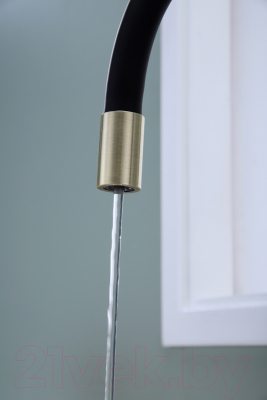 Смеситель Paulmark Salix Sa213419-BR (бронза)