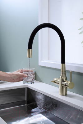 Смеситель Paulmark Salix Sa213419-BR (бронза)