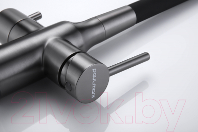 Смеситель Paulmark Salix Sa213419-GM