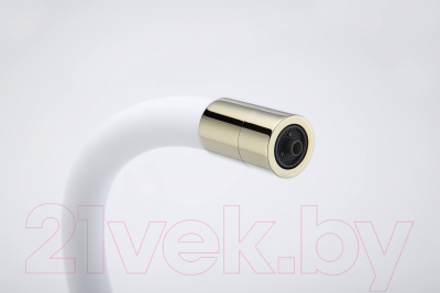 Смеситель Paulmark Salix Sa213419-Gw