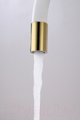 Смеситель Paulmark Salix Sa213419-Gw