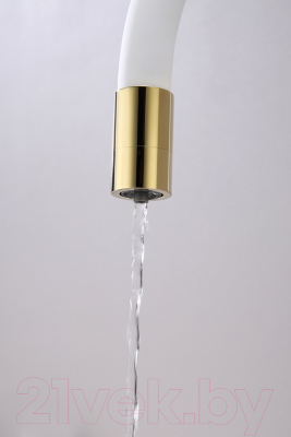 Смеситель Paulmark Salix Sa213419-Gw