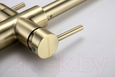 Смеситель Paulmark Lange La214212-BR