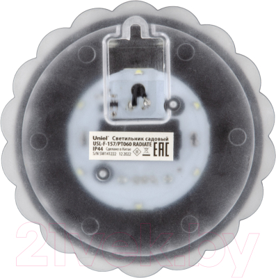 Светильник уличный Uniel USL-F-157/PT060 Radiate / UL-00010434