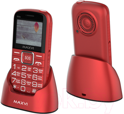 Мобильный телефон Maxvi B5ds