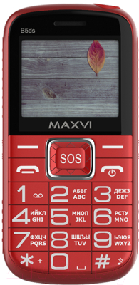 Мобильный телефон Maxvi B5ds