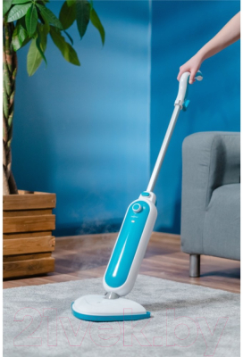 Пароочиститель Zelmer ZST1300