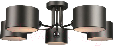 Люстра Omnilux Lisera OML-54507-05 - фото