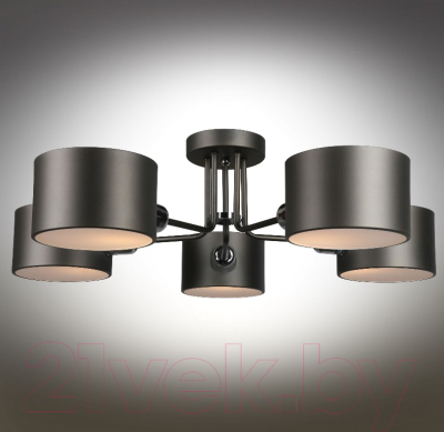 Люстра Omnilux Lisera OML-54507-05