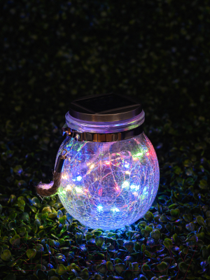 Светильник уличный ArtStyle Банка с росой CL-S25M - фото