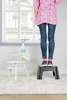 Табурет-подставка Rotho Basic 1778208080