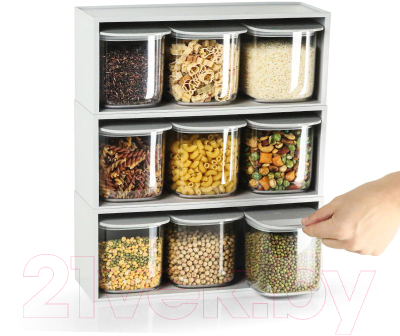 Набор емкостей для хранения Qualy QL10371-CL-GY