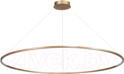 Потолочный светильник ST Luce ST605.203.72 - фото