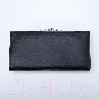 Портмоне Passo Avanti 519-W58-718-BLK