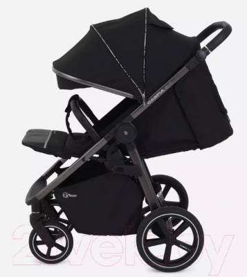 Детская прогулочная коляска Rant Caspia 2.0 / RA100 (Black)