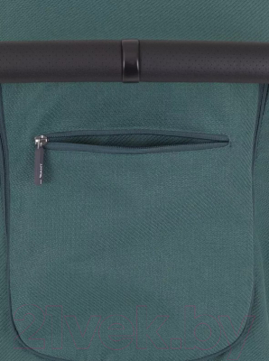 Детская прогулочная коляска Rant Caspia 2.0 / RA100 (Green)