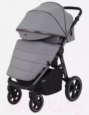 Детская прогулочная коляска Rant Caspia 2.0 / RA100 (Grey)