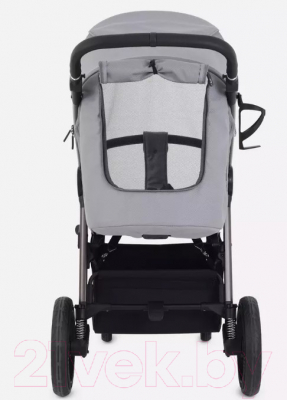 Детская прогулочная коляска Rant Caspia 2.0 / RA100 (Grey)