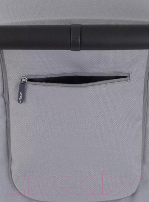 Детская прогулочная коляска Rant Caspia 2.0 / RA100 (Grey)