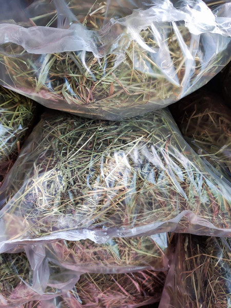 Сено для птиц и грызунов Грызуняшка Луговое прессованное