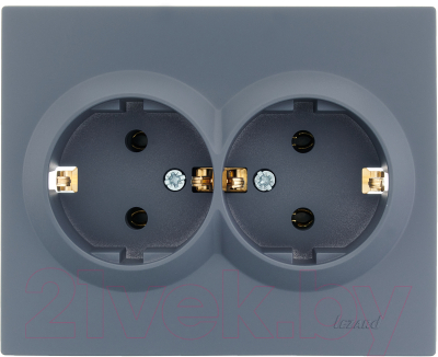 Розетка Lezard Vesna 742-3400-127B - фото