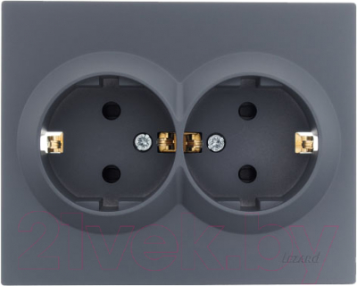 Розетка Lezard Vesna 742-3400-178B - фото