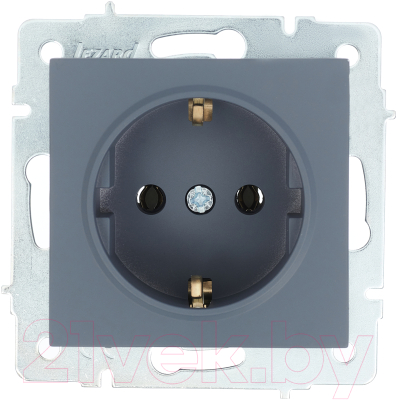 Розетка Lezard Vesna 742-3488-122B - фото