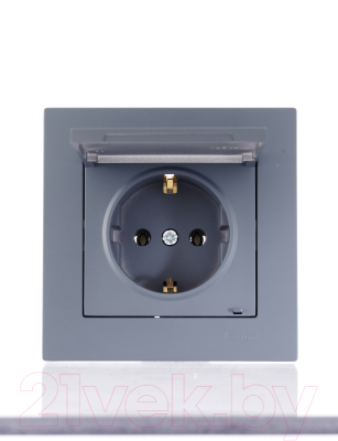 Розетка Lezard Vesna 742-3488-123B - фото