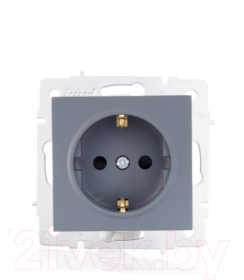 Розетка Lezard Vesna 742-3488-124B - фото