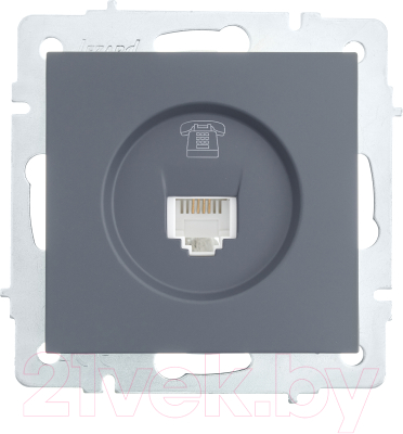 Розетка Lezard Vesna 742-3488-137 - фото