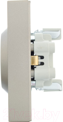 Розетка Lezard Vesna 742-3700-127B