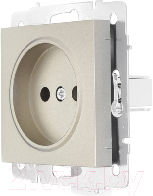 Розетка Lezard Vesna 742-3788-121B