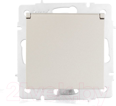 Розетка Lezard Vesna 742-3788-123B