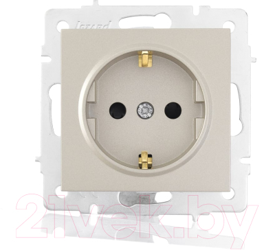Розетка Lezard Vesna 742-3788-124B