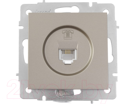 Розетка Lezard Vesna 742-3788-137