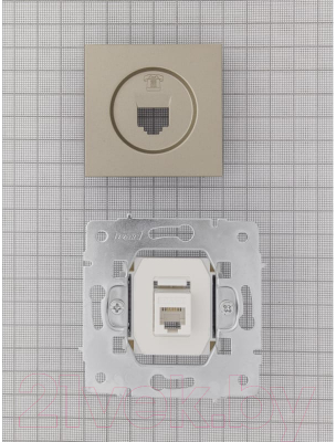 Розетка Lezard Vesna 742-3788-137