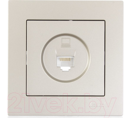 Розетка Lezard Vesna 742-3788-139