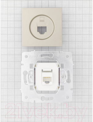 Розетка Lezard Vesna 742-3788-139