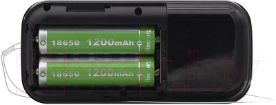 Радиоприемник Ritmix RPR-007