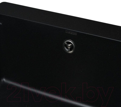 Мойка кухонная Wisent WP780-25