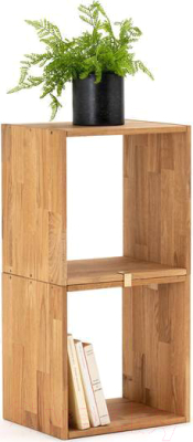 Полка Dipriz Эдгар / Д.90013.2 (дуб/масло)