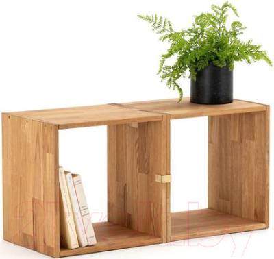 Полка Dipriz Эдгар / Д.90013.2 (дуб/масло)