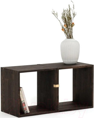 Полка Dipriz Эдгар / Д.90013.3 (черный дуб/бейц масло)