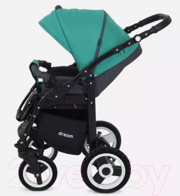 Детская универсальная коляска Rant Dream 2 в 1 (08, серый/темно-зеленый)
