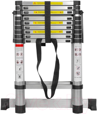 Лестница-стремянка Forsage F-UP290-2