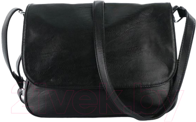 Сумка Passo Avanti 536-6055-BLK (черный) - фото