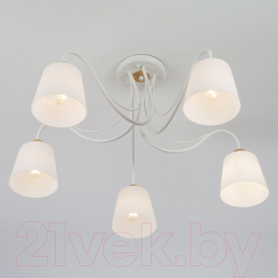 Люстра Евросвет Betty 70062/5