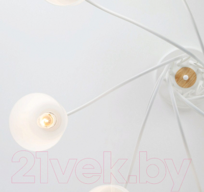 Люстра Евросвет Betty 70062/8