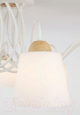 Люстра Евросвет Betty 70062/8