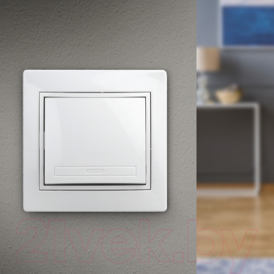 Выключатель INTRO Plano 1-101-01 / Б0053721